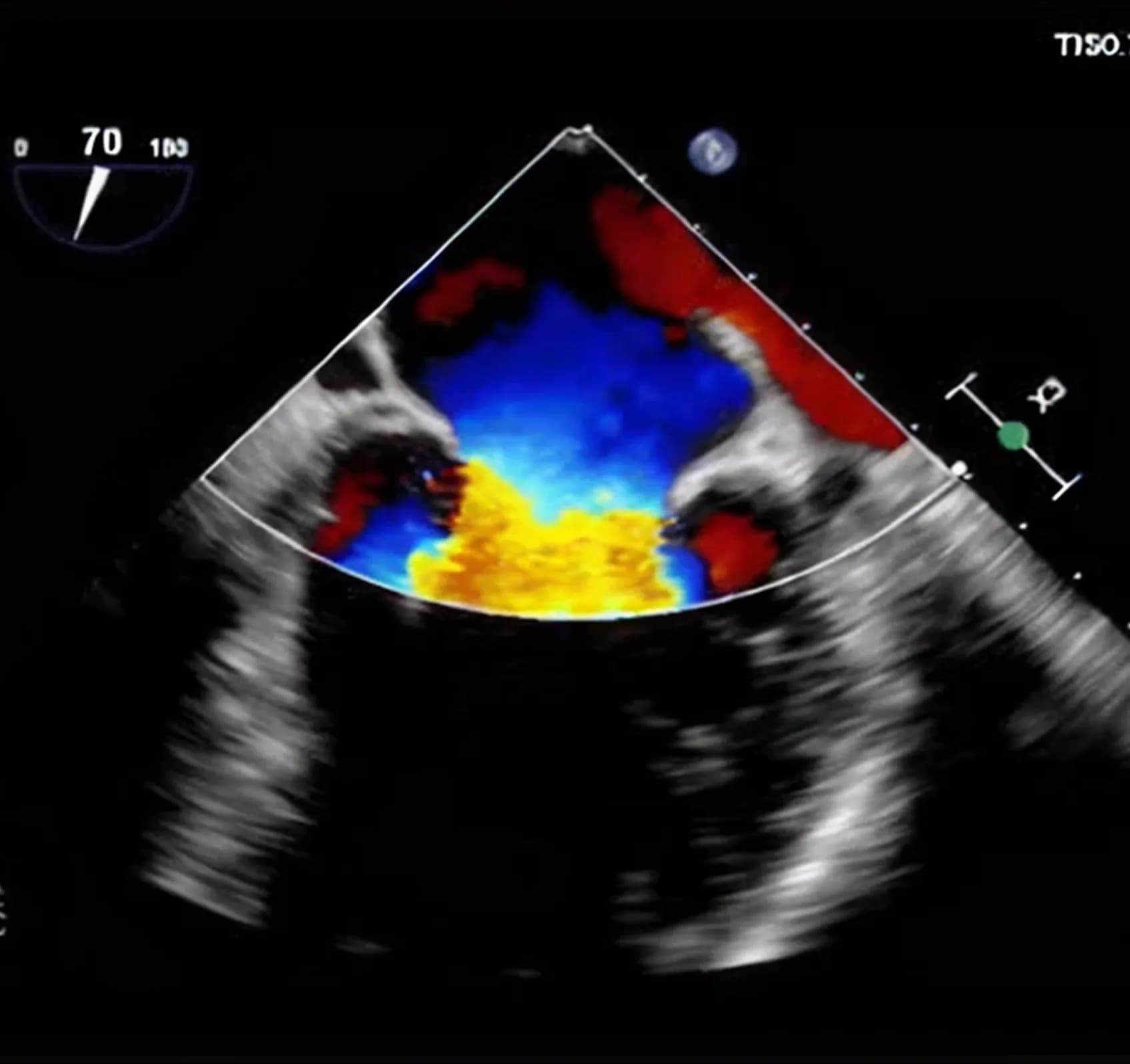 Comprehensive Evaluation