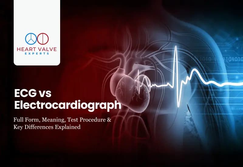 ECG vs Electrocardiograph: Full Form, Meaning, Test Procedure &amp; Key Differences Explained