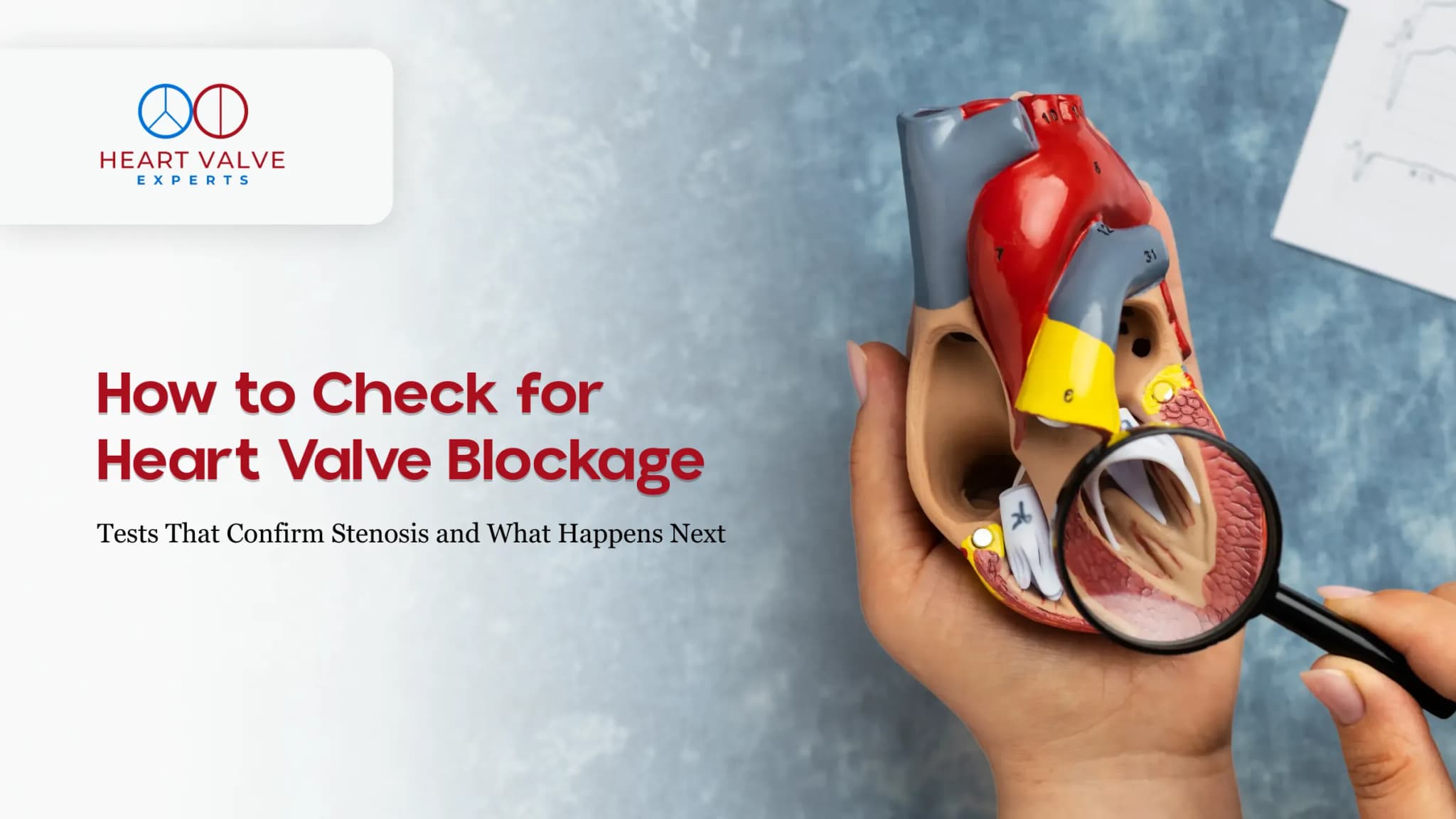How to Check for a Heart Valve Blockage: Tests That Confirm Stenosis and What Happens Next