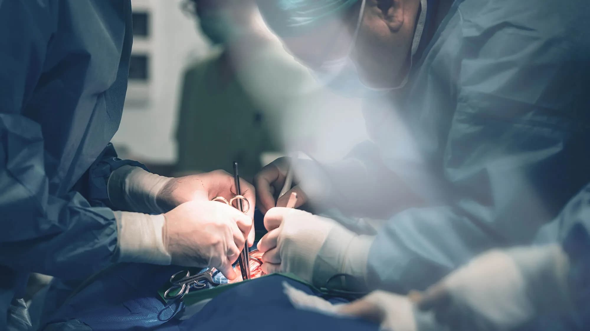 Transcatheter heart valve procedure