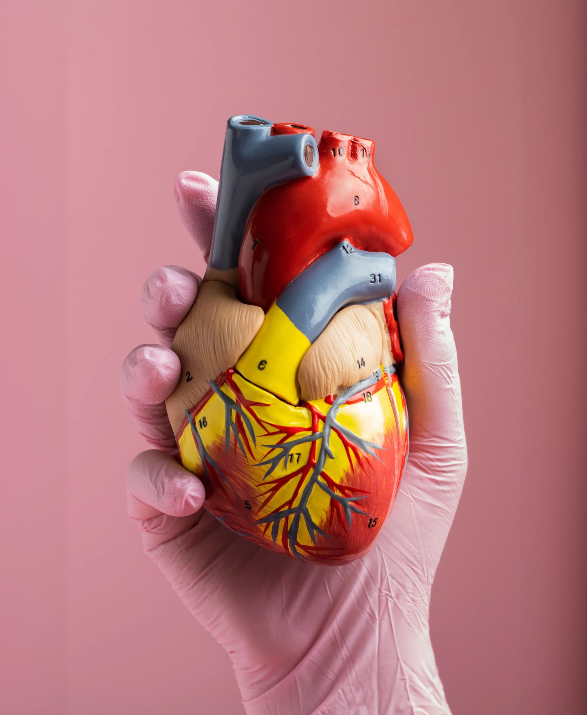 Who is Eligible for TAVI Surgery in Mumbai?