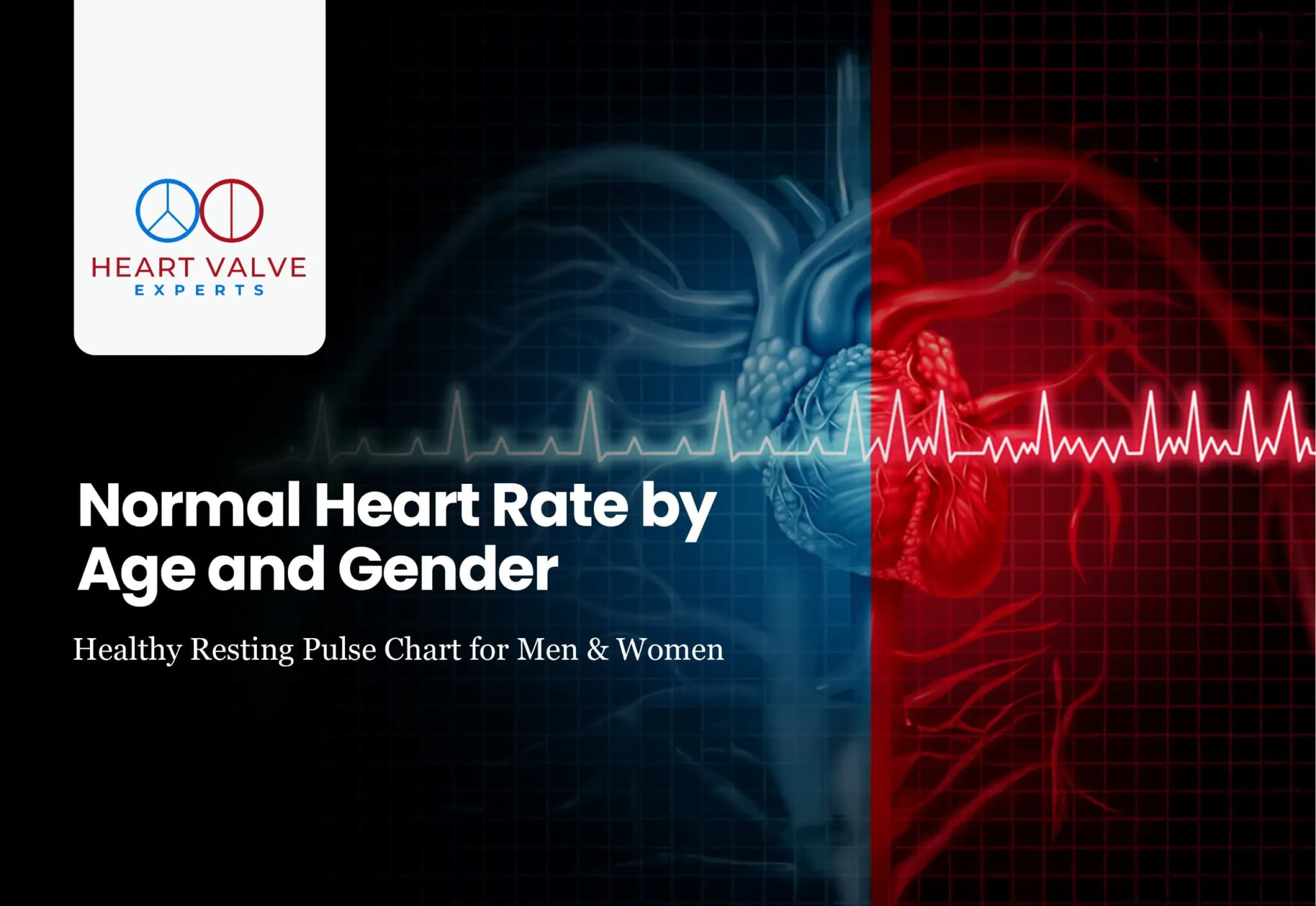 Normal Heart Rate by Age and Gender: Healthy Resting Pulse Chart for Men & Women